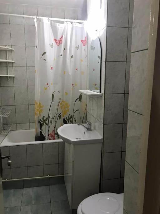 פיטסטי Apartament Confortabil מראה חיצוני תמונה